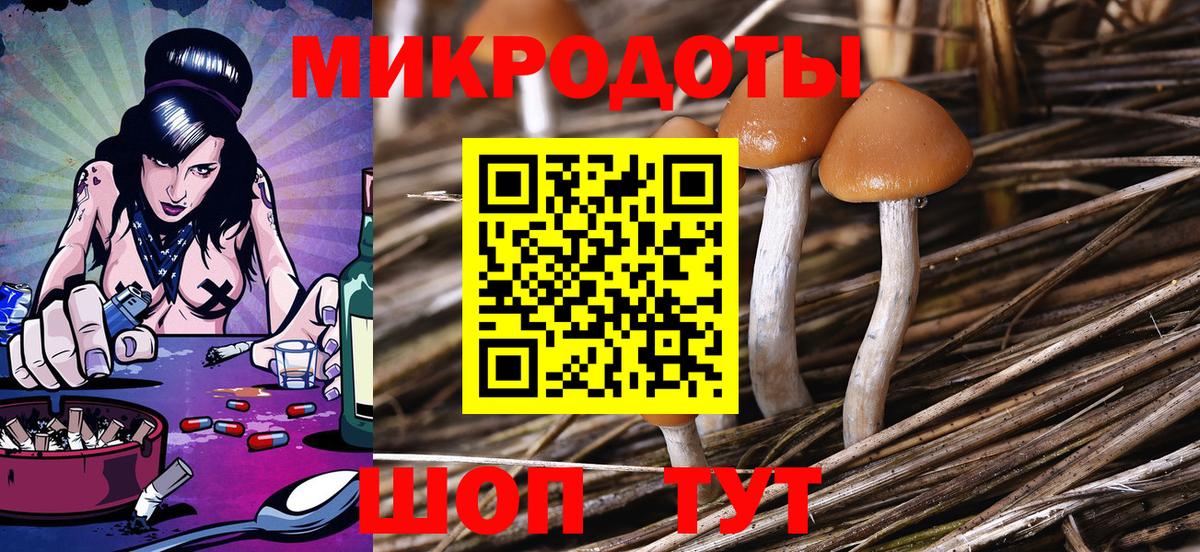 Курчатов  Галлюциногенные грибы Cubensis  Вход с VPN  Галлюциногенные грибы мицелий 